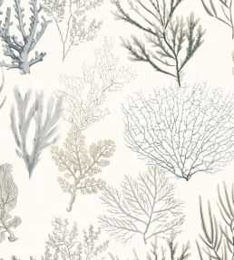 Corail Wallpaper by Casadeco Noir
