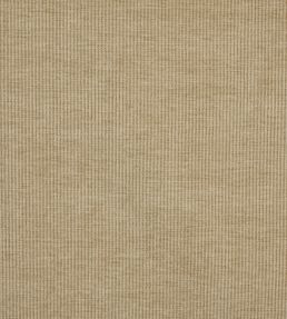 Cord Fabric by Prestigious Textiles Pampas