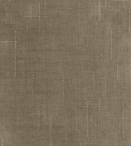 Cosmos Fabric by Pepe Penalver Cocoa