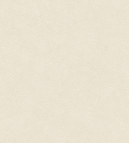 Cote D'opale Wallpaper by Casadeco Beige Sable