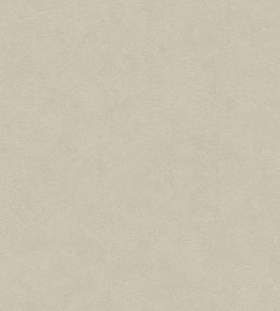 Cote D'opale Wallpaper by Casadeco Taupe