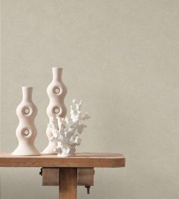 Cote D'opale Wallpaper by Casadeco Taupe