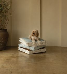 Coton De Tulear Border Trimming by Samuel & Sons Wedgewood