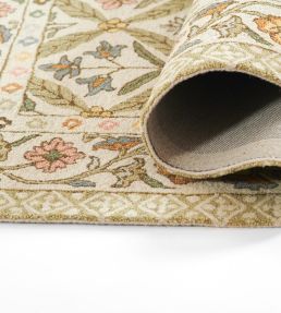 Momeni Cotswold COT-1 rug Green COTSWCOT-1GRN3656 Green