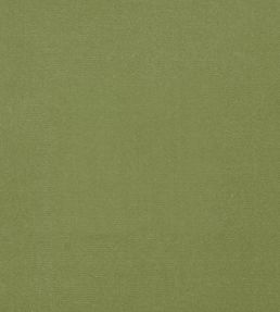 Cotton Velvet Fabric by Liberty Fern