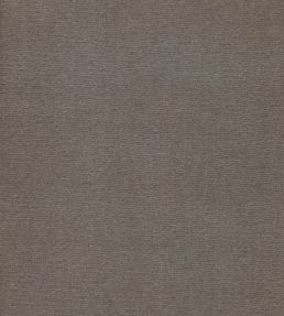 Cotton Velvet Fabric by Liberty Flax