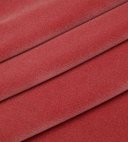 Cotton Velvet Fabric by Liberty Lacquer