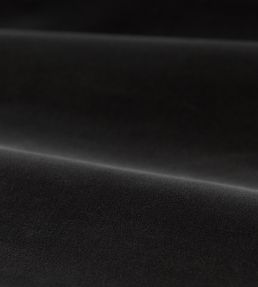 Cotton Velvet Performance Fabric by Zoffany Anthracite