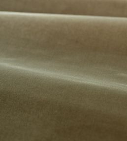 Cotton Velvet Performance Fabric by Zoffany Antique Linen