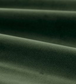 Cotton Velvet Performance Fabric by Zoffany Deep Moss