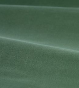 Cotton Velvet Performance Fabric by Zoffany Eau de Nil