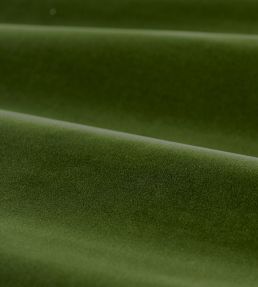 Cotton Velvet Performance Fabric by Zoffany Evergreen