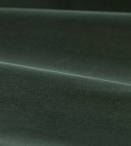 Cotton Velvet Performance Fabric by Zoffany Green Slate