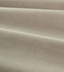 Cotton Velvet Performance Fabric by Zoffany Mink