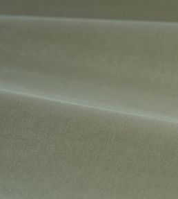 Cotton Velvet Performance Fabric by Zoffany Mist