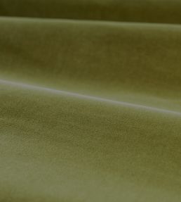 Cotton Velvet Performance Fabric by Zoffany Olive