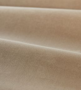Cotton Velvet Performance Fabric by Zoffany Parchment