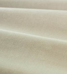 Cotton Velvet Performance Fabric by Zoffany Platinum Grey