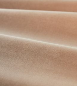 Cotton Velvet Performance Fabric by Zoffany Rose Quartz