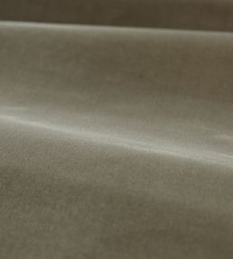 Cotton Velvet Performance Fabric by Zoffany Silver