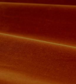 Cotton Velvet Performance Fabric by Zoffany Terracotta
