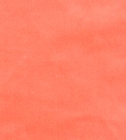 Cotton Velvet Fabric by Liberty Bloomer