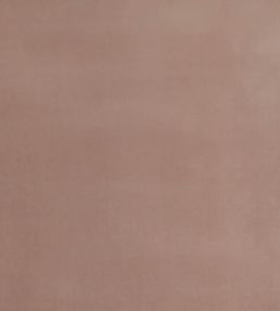 Court Velvet Fabric by GP & J Baker Mink