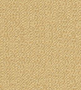 Cozy Fabric by Wemyss Biscotti