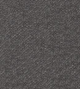 Cozy Fabric by Wemyss Graphite