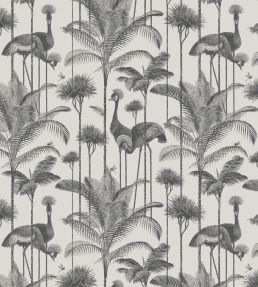 Crane Fonda Wallpaper by Divine Savages Charcoal