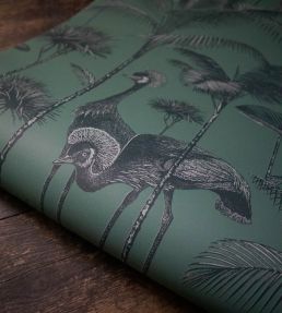 Crane Fonda Wallpaper by Divine Savages Jade Green