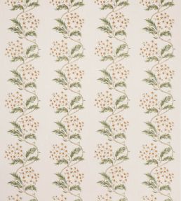 Cresswell Fabric by Colefax And Fowler Gold/Leaf