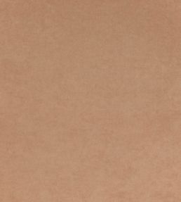 Crush FR Fabric by Kirkby Design Clay