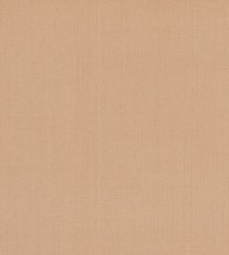 Cubby Fabric by GP & J Baker Desert