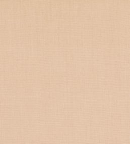 Cubby Fabric by GP & J Baker String