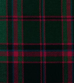 Cumming Htg Mtd Fabric by The Isle Mill Black/Green/Red
