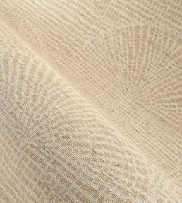 Cupula Wallpaper by Arte Cocoa
