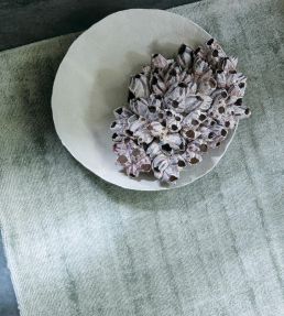 Ligne Pure Current rug Mint 206.001.510.170240 Mint