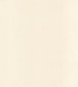 Curtain Lining - Pale Ivory by JC Pale Ivory