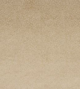 Darwin Fabric by Jane Churchill Beige