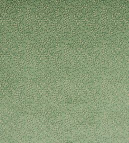Darwin Fabric by Jane Churchill Green