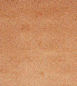 Darwin Fabric by Jane Churchill Orange