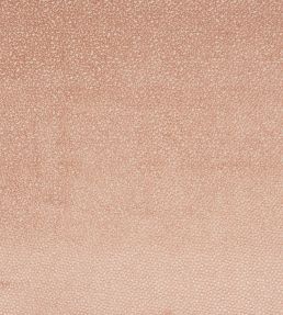 Darwin Fabric by Jane Churchill Pink
