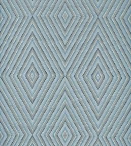 Dazzle Fabric by Sanderson Woad