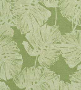 Del Coco Sisal Wallpaper by Schumacher Leaf