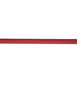 Delicat Silk Cord With Tape Trimming by Samuel & Sons Poppy