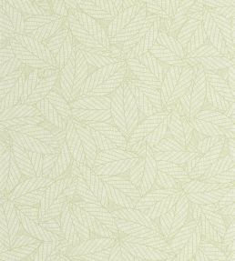 Delora Wallpaper by Caselio Vert amande