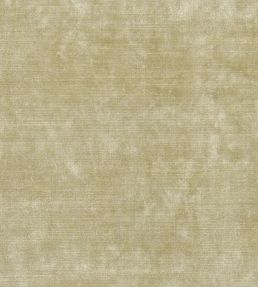Glenville Fabric by Designers Guild Ecru
