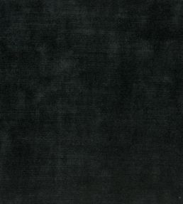 Glenville Fabric by Designers Guild Noir