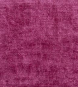 Glenville Fabric by Designers Guild Camellia